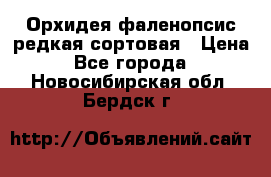 Орхидея фаленопсис редкая сортовая › Цена ­ 800 - Все города  »    . Новосибирская обл.,Бердск г.